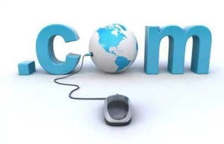 浙江推進互聯網政務服務利企便民新舉措